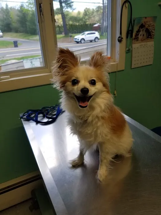 Mill Valley Veterinary Clinic 2