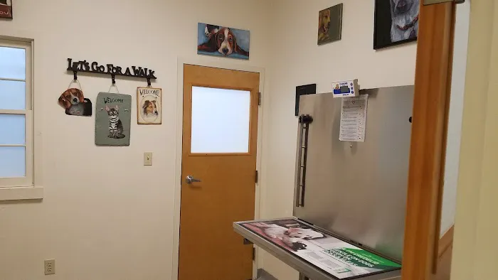 Canterbury Tails Veterinary Clinic 4