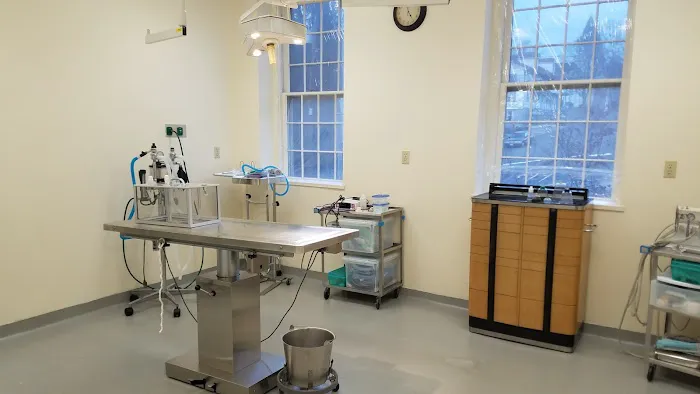 Canterbury Tails Veterinary Clinic 1