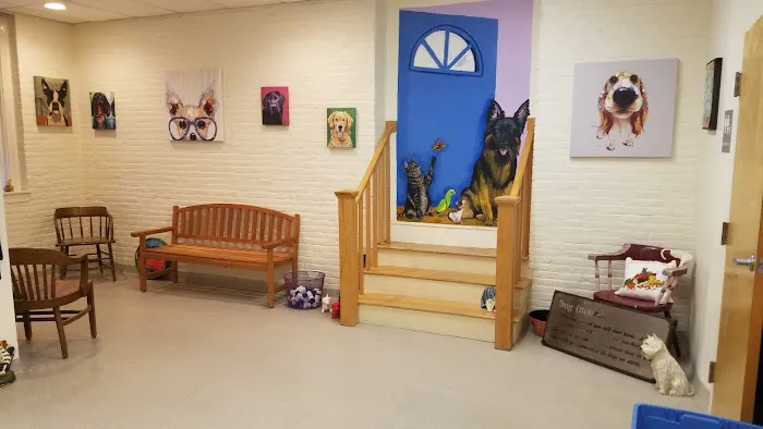 Canterbury Tails Veterinary Clinic 9