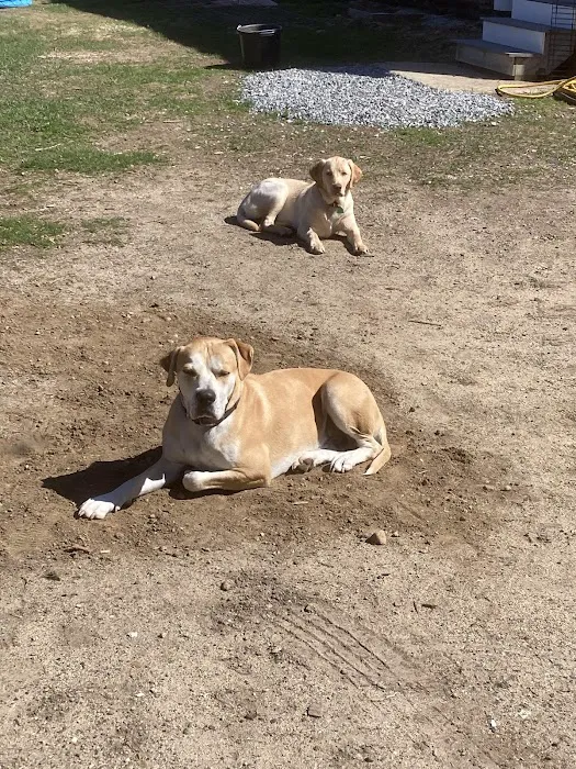Hardwick Pond Vet Center 2