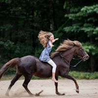 North East Performance Equine ico