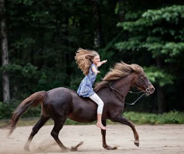 North East Performance Equine