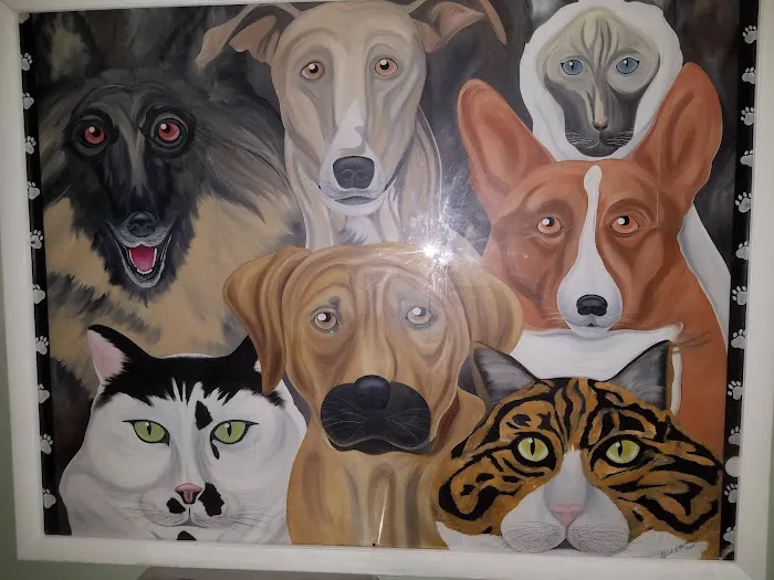 Amsterdam Animal Hospital 5