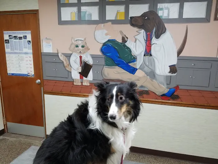 Amsterdam Animal Hospital 9