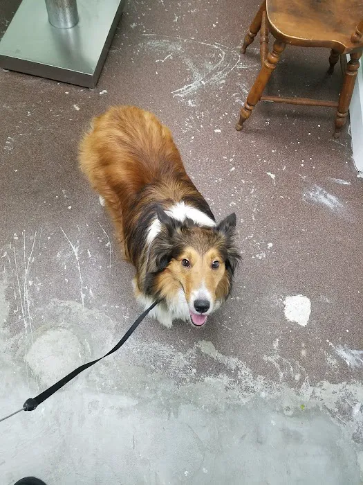 Amsterdam Animal Hospital 8