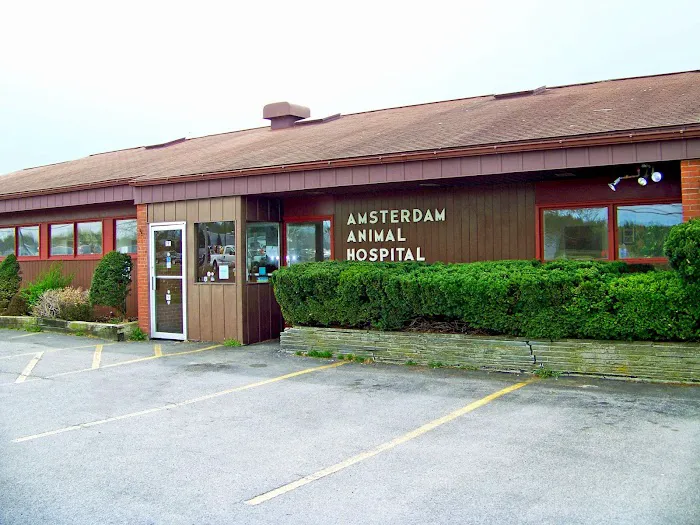 Amsterdam Animal Hospital 10