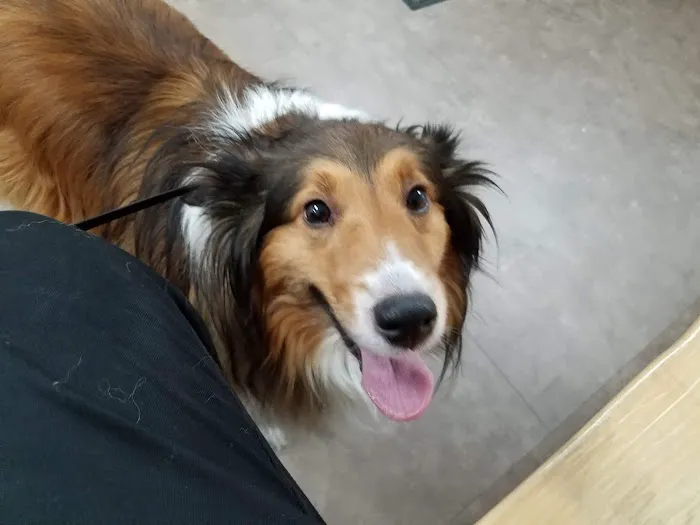 Amsterdam Animal Hospital 6