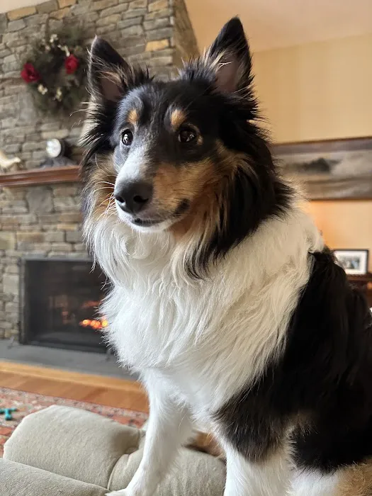 Dove Creek Animal Hospital 4