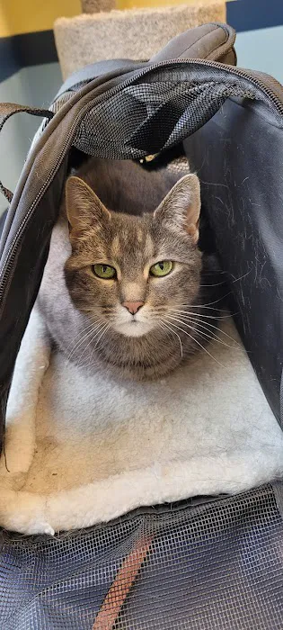 Dove Creek Animal Hospital 1