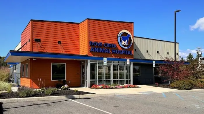 Dove Creek Animal Hospital 2
