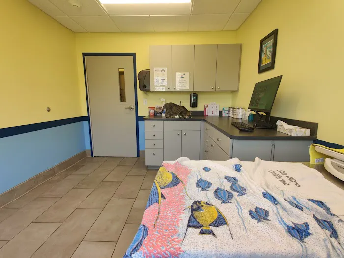 Dove Creek Animal Hospital 7