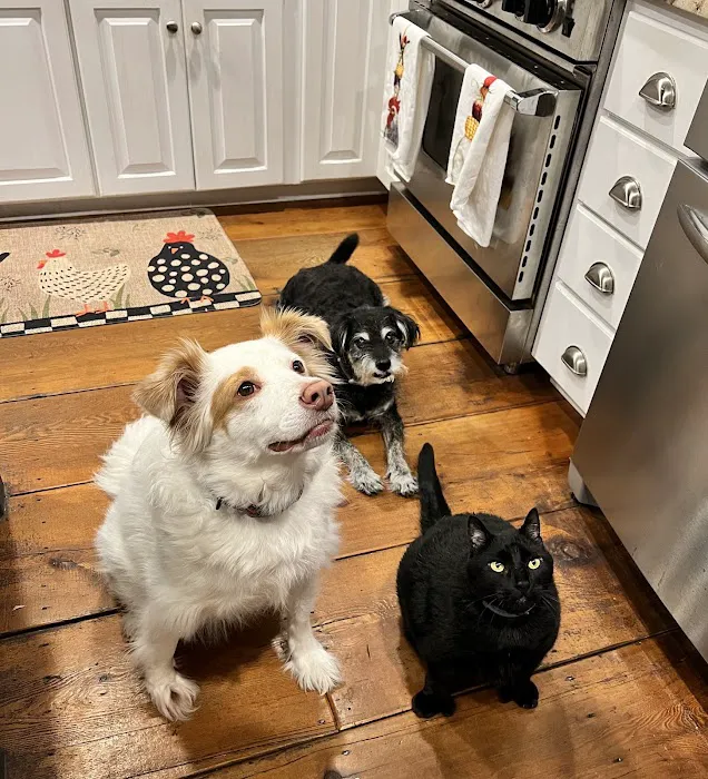 Greenfield Animal Hospital 7