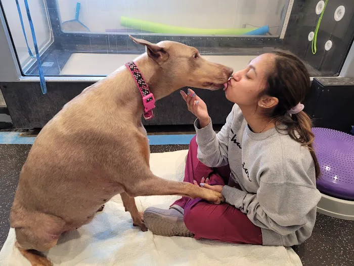 Greenfield Animal Hospital 10