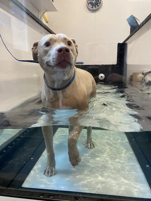 Greenfield Animal Hospital 5