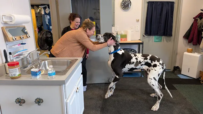 Greenfield Animal Hospital 8