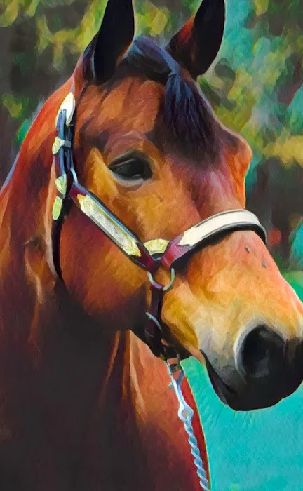 Saratoga Horse RX 1