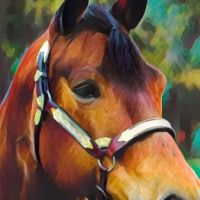 Saratoga Horse RX ico
