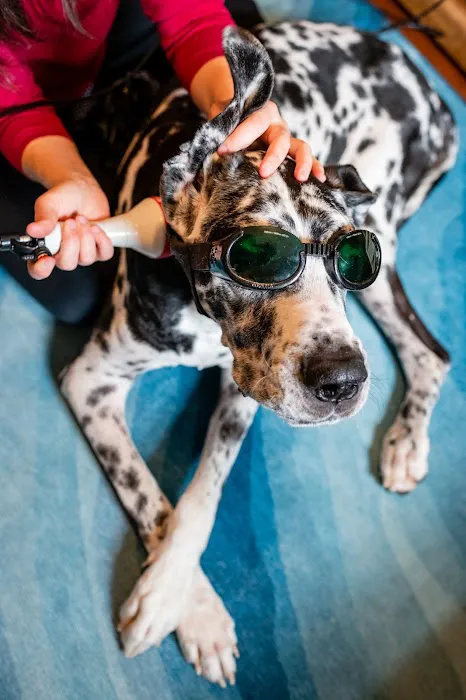 Animal Wellness Veterinary Services LLC 8