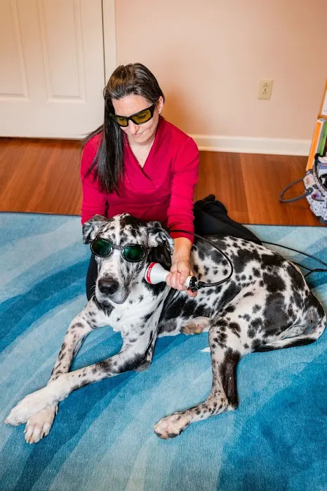 Animal Wellness Veterinary Services LLC 1