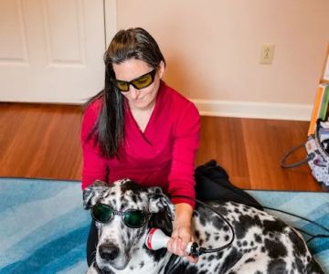 Animal Wellness Veterinary Services LLC
