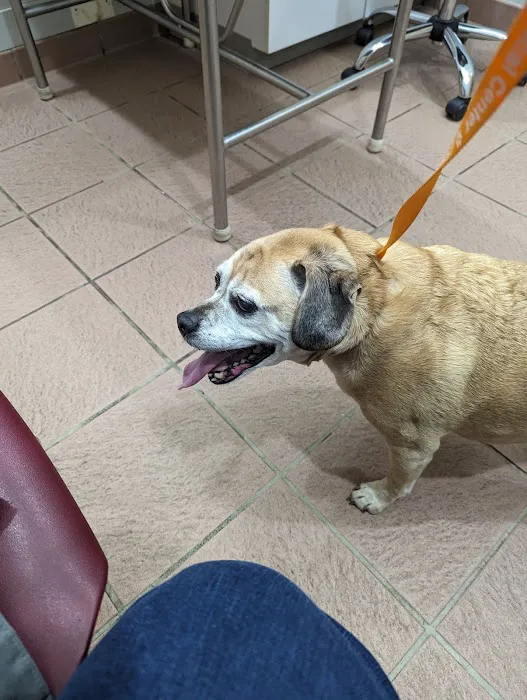 Upstate Animal Medical Center 5