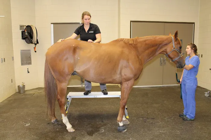 Rood & Riddle Equine Hospital in Saratoga 7