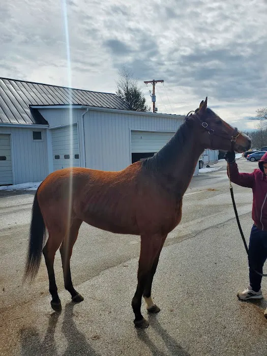 Rood & Riddle Equine Hospital in Saratoga 3