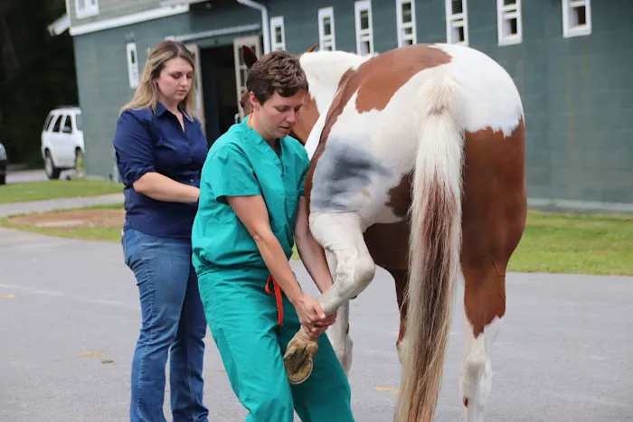 Rood & Riddle Equine Hospital in Saratoga 5