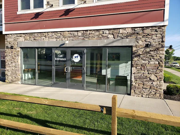 Springs Family Veterinary Hospital 2