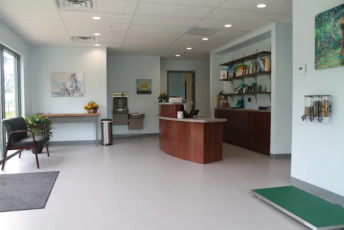 Springs Family Veterinary Hospital 5