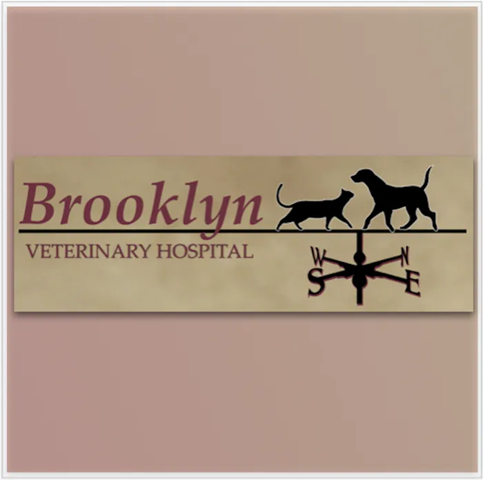 Brooklyn Veterinary Hospital 10