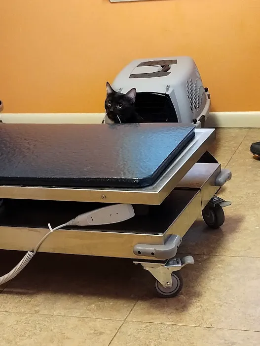 Woodstock Veterinary Clinic 8
