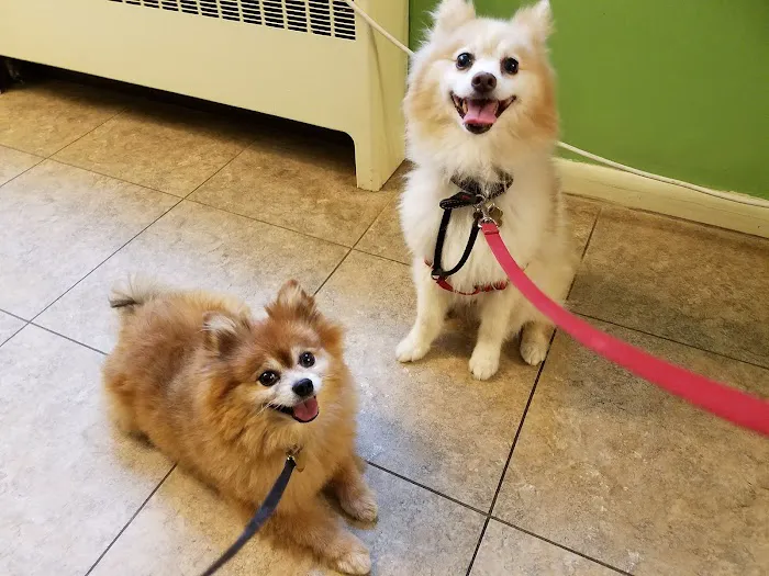 Woodstock Veterinary Clinic 6