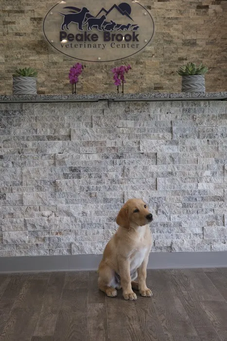 Peake Brook Veterinary Center 4