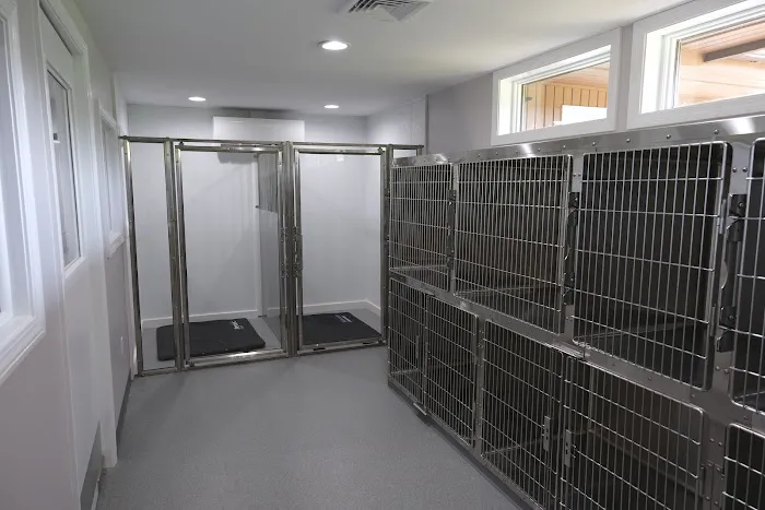 Peake Brook Veterinary Center 6