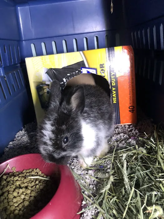 Animal Hospital of Putnam 9