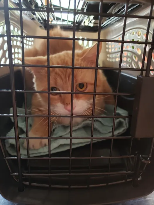Animal Hospital of Putnam 5