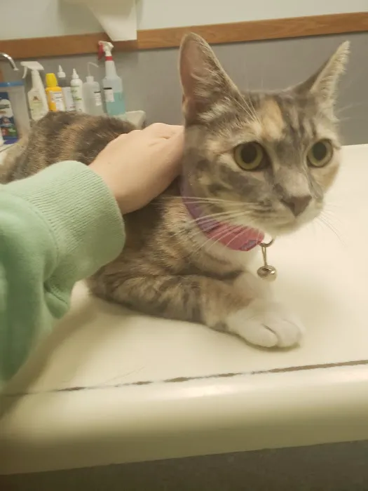 Animal Hospital of Putnam 1