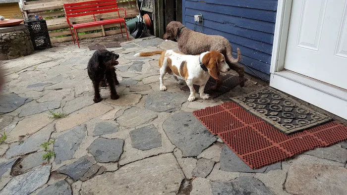 Wood River Animal Hospital 8