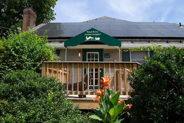 Wood River Animal Hospital 5