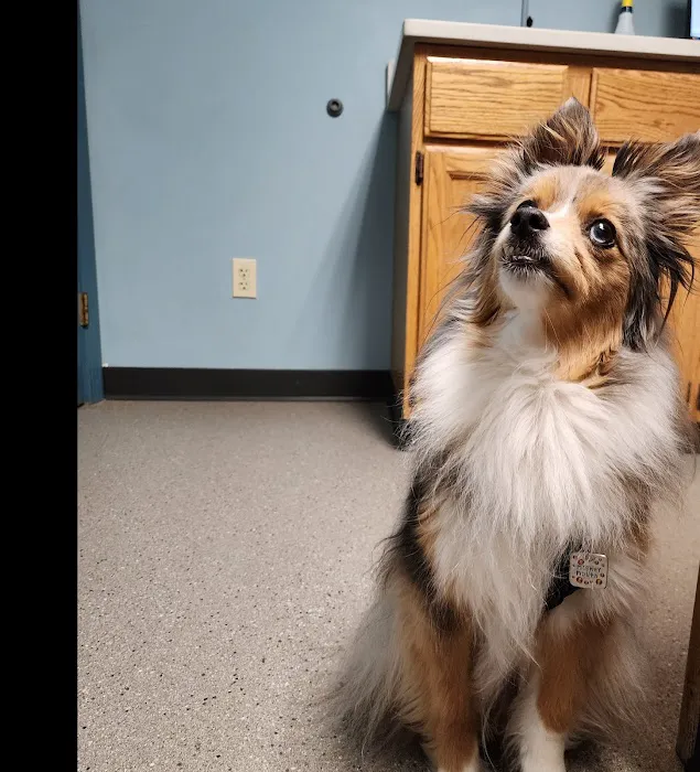 Wood River Animal Hospital 6