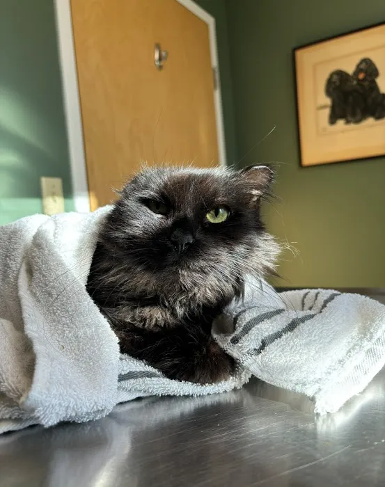 West Greenwich Animal Hospital 9