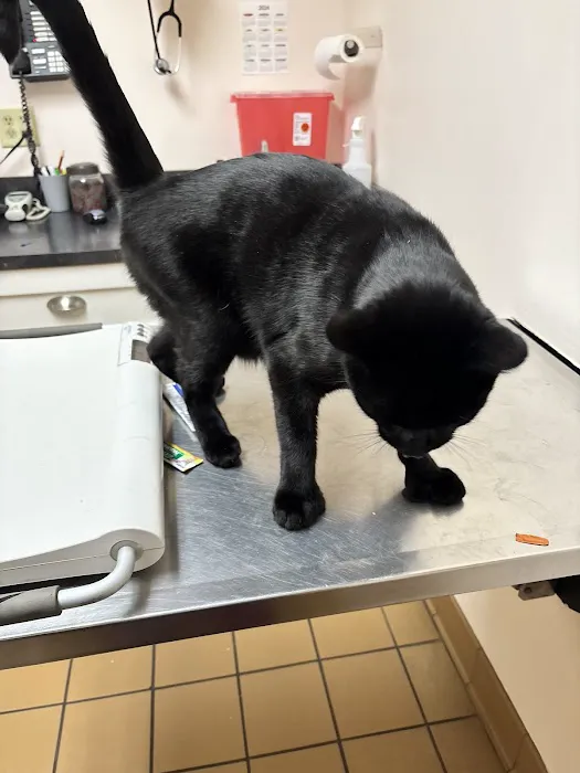 West Greenwich Animal Hospital 3
