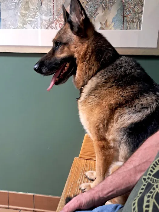 West Greenwich Animal Hospital 4