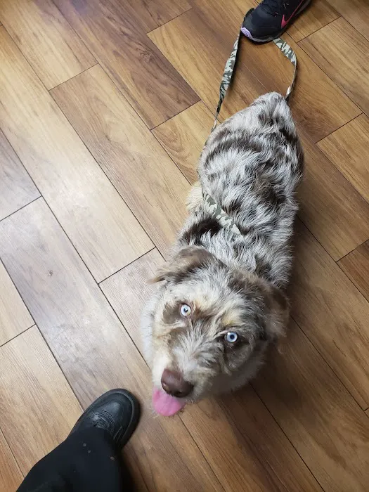 Foster Veterinary Clinic 2