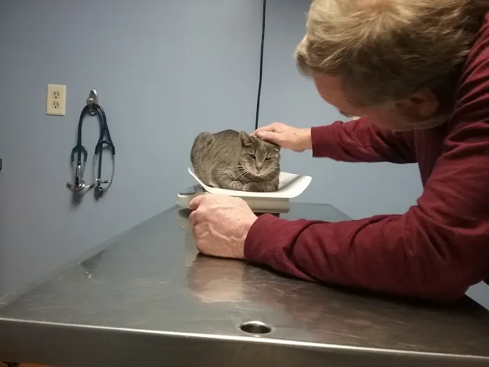 Foster Veterinary Clinic 4