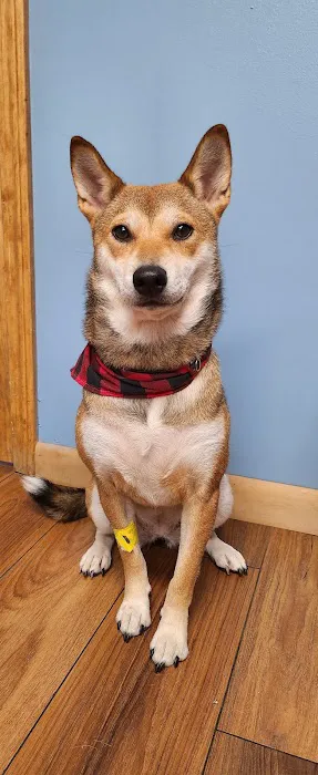 Foster Veterinary Clinic 1