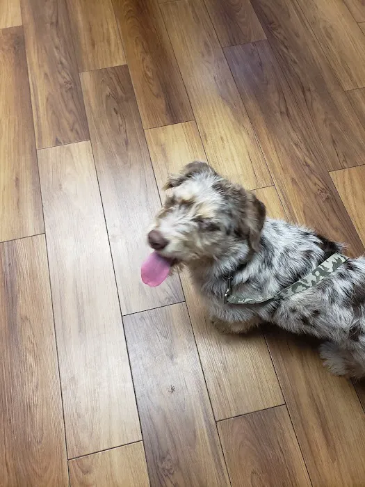 Foster Veterinary Clinic 3