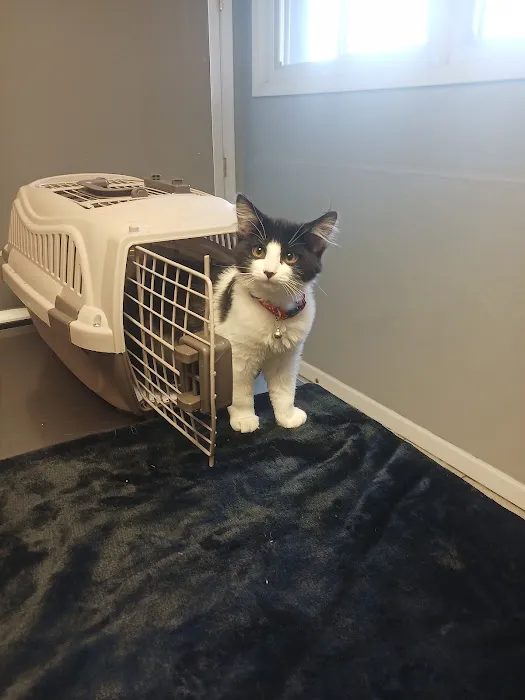 Country Valley Veterinary Clinic 1